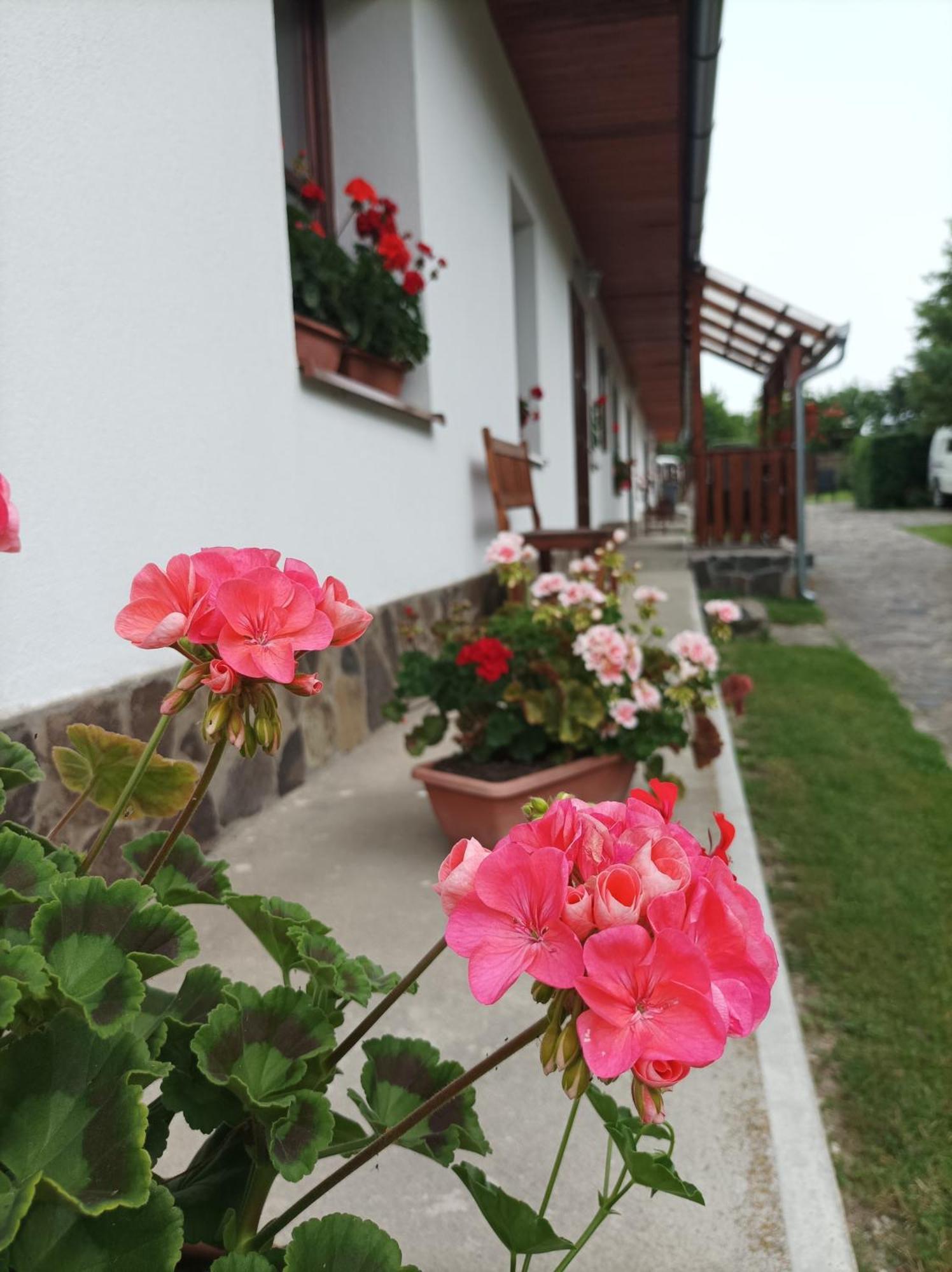 Kemencés Vendégház Mikohaza Exterior foto